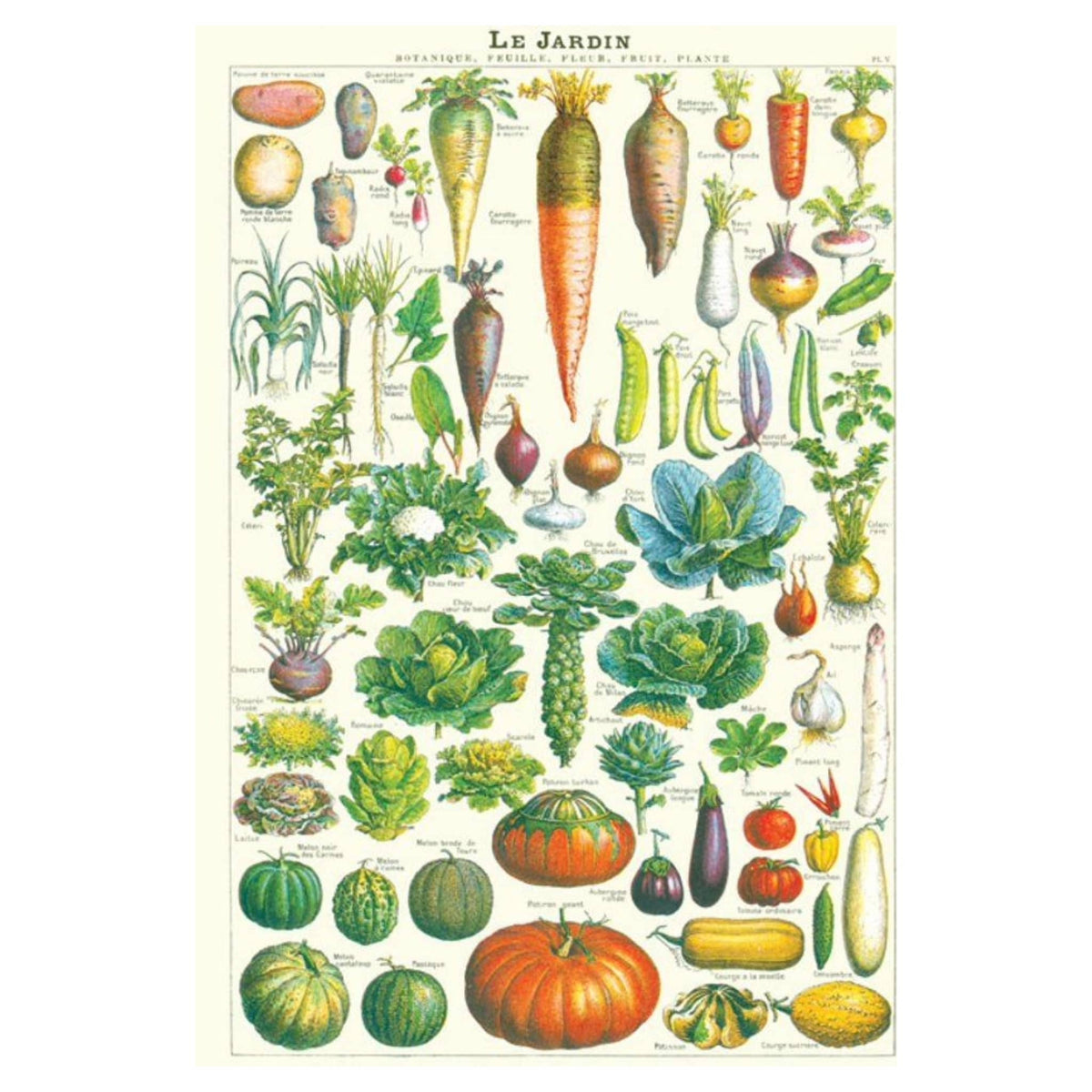 Juliste Jardin Cavallini & Co.