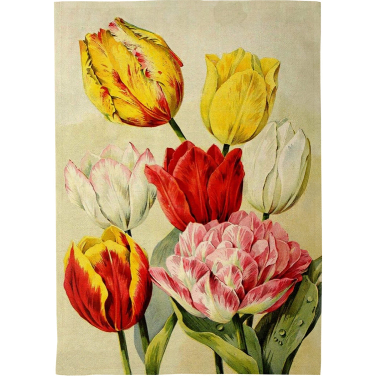 Keittiöpyyhe Tulppaanit 50 x 70cm