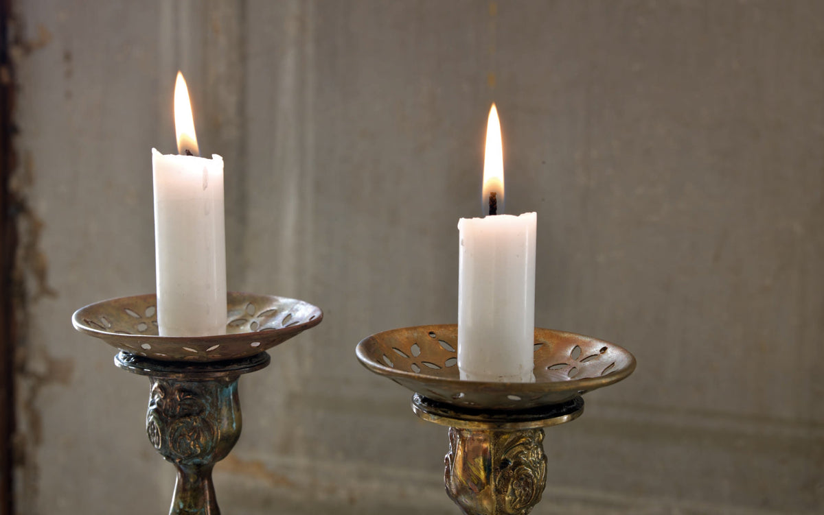 Cavallini & Co. juliste Le Jardin