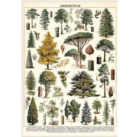 Juliste Arboretum